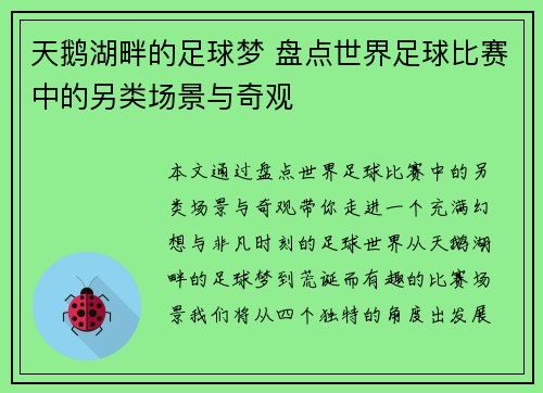 天鹅湖畔的足球梦 盘点世界足球比赛中的另类场景与奇观