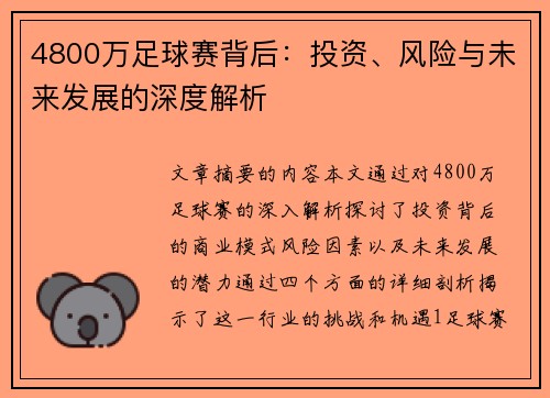 4800万足球赛背后：投资、风险与未来发展的深度解析