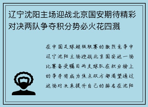 辽宁沈阳主场迎战北京国安期待精彩对决两队争夺积分势必火花四溅