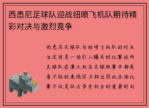西悉尼足球队迎战纽喷飞机队期待精彩对决与激烈竞争