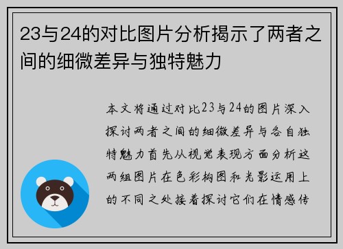 23与24的对比图片分析揭示了两者之间的细微差异与独特魅力